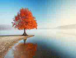 关﻿键﻿词‍自​动​生‍成﻿标‌题​